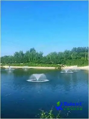 操作失誤會造成潛水曝氣機(jī)出現(xiàn)爬行嗎